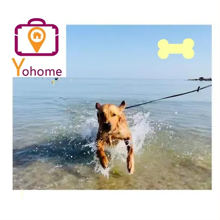 Collina Degli Angeli Con Ampio Giardino 몬테라베이트