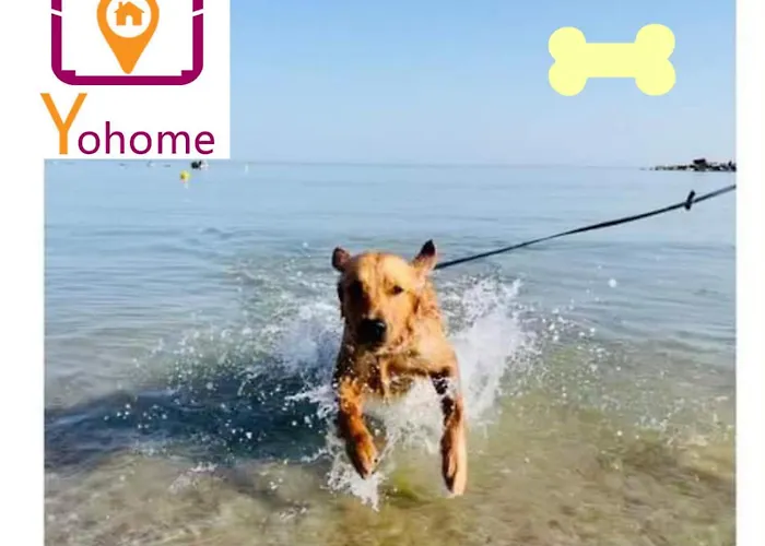 Collina Degli Angeli Con Ampio Giardino Montelabbate